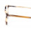 Calvin Klein Collection CK8526 239 brille
